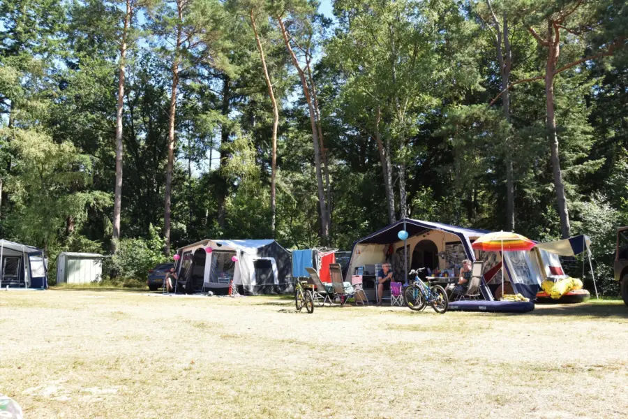 Camping Ommen comfort kampeerplaats Ommerberg 5
