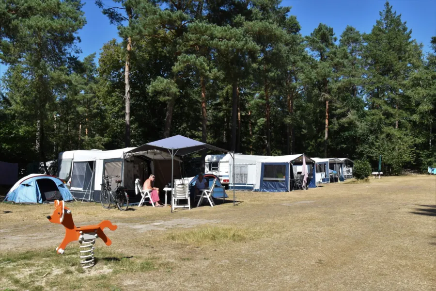 Camping Ommen comfort kampeerplaats Ommerhout 4