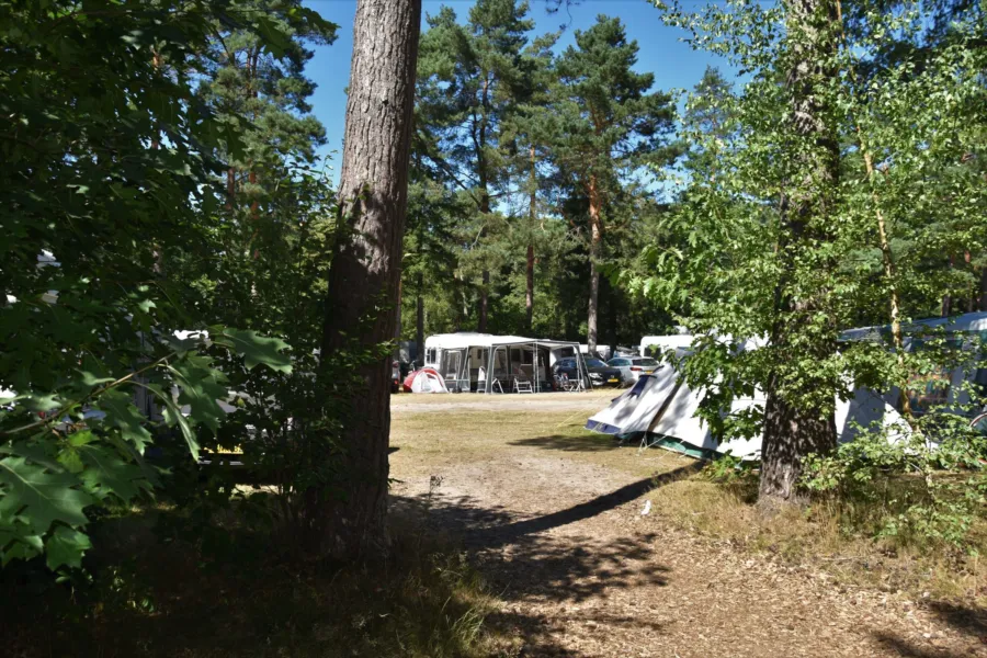 Camping Ommen comfort kampeerplaats Ommerhout 2