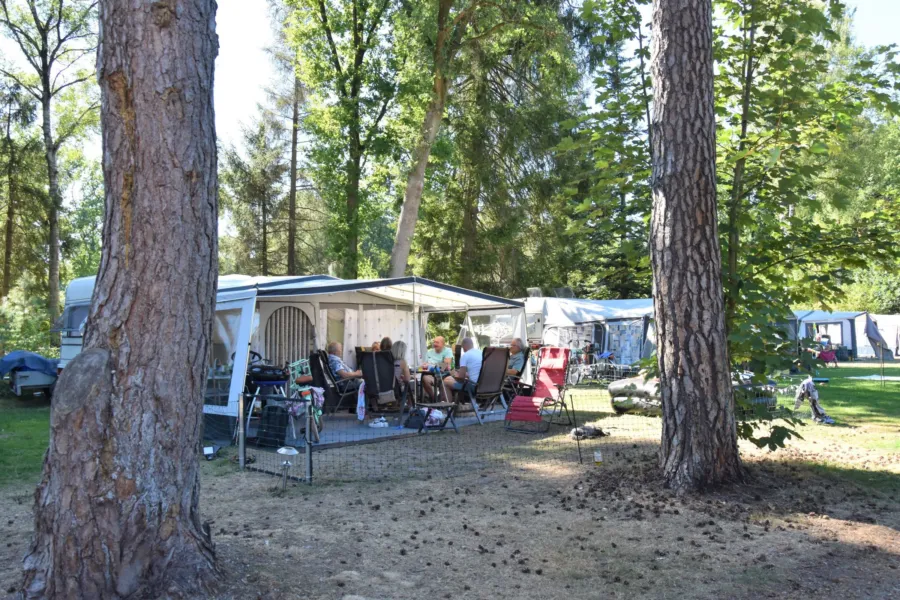Camping Ommen kampeerplaats honden toegestaan Ommervallei 4