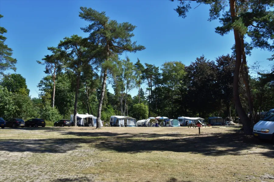 Camping Ommen kampeerplaats Ommerhei 3