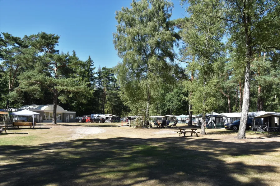 Camping met hond kampeerplaats Ommerbos 11