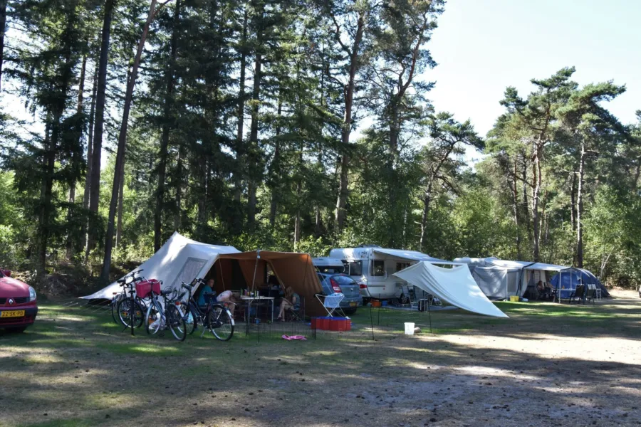 Camping met hond kampeerplaats Ommerbos 8