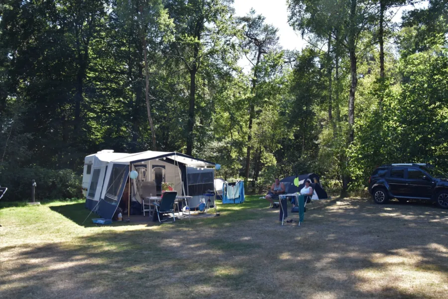 Camping met hond kampeerplaats Ommerhout 3